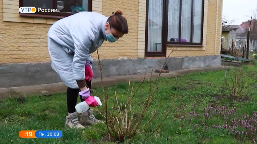 Борьба с клещами